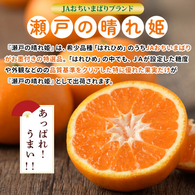 【先行受付】JAおちいまばり 瀬戸の晴れ姫(はれひめ)4kg、12月〜1月に発送【1086043】