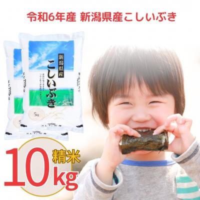 ふるさと納税 三条市 新米 新潟県産 こしいぶき 10kg 令和7年産 米【011S037】