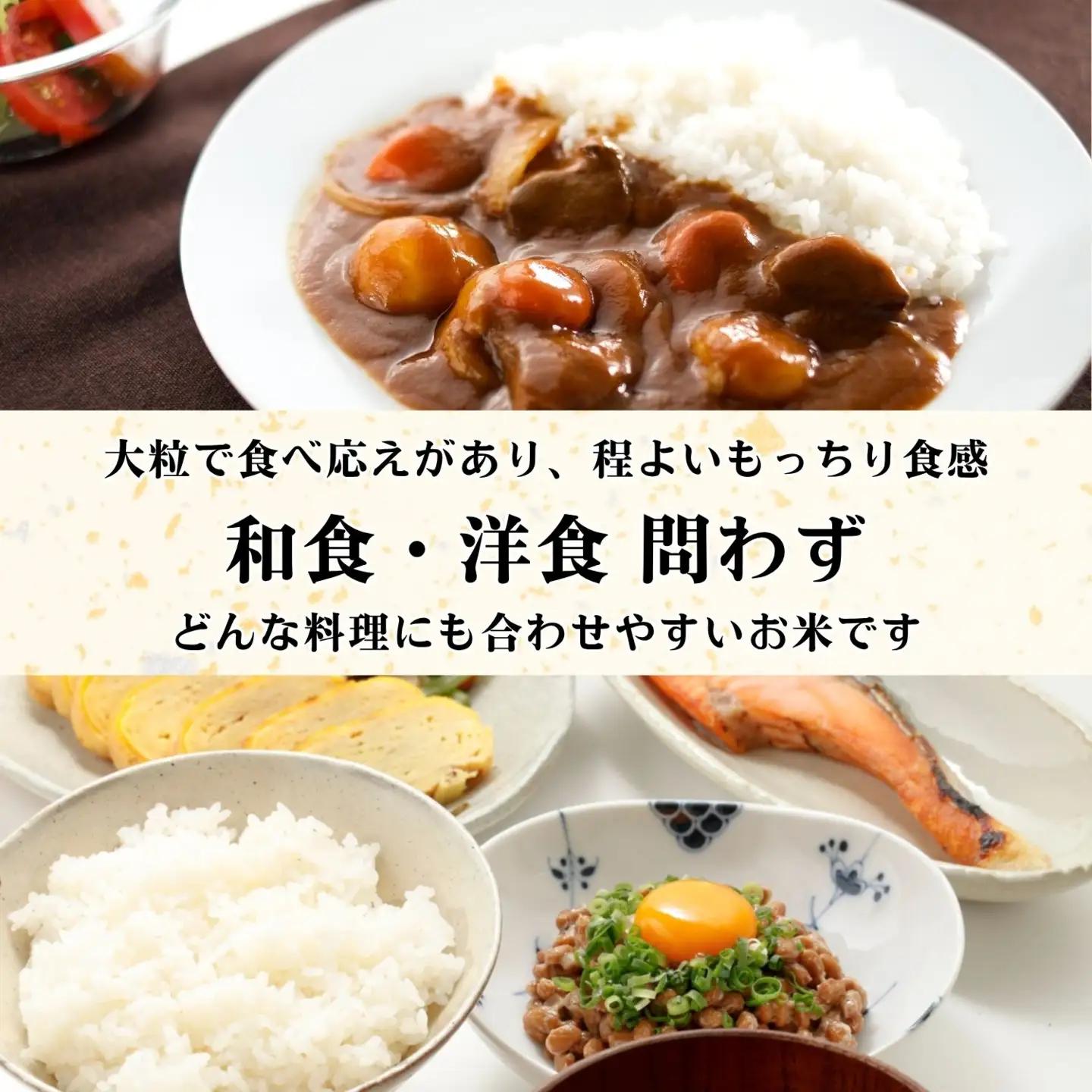 【新米予約】《定期便》＼ 2026年12月より5kg 6回 ／コシヒカリ 木内ファーム