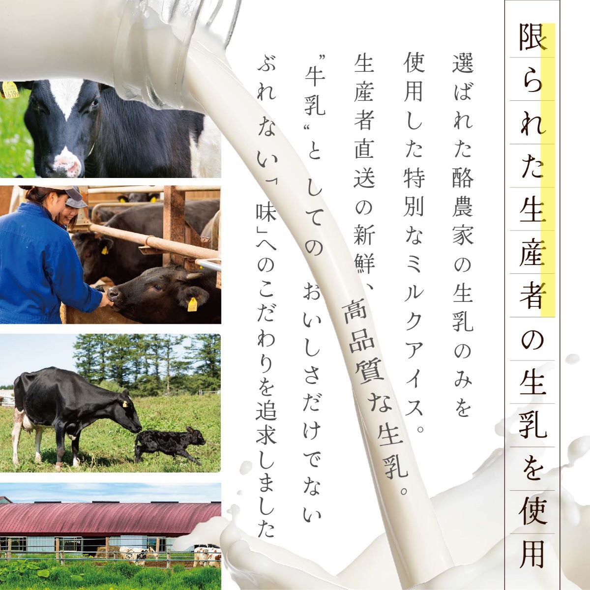 【毎月定期便】【THE ICE】3種詰合せ6個セット×6ヵ月定期便 【be003-1072-100-6】（J FARM AMUSE 株式会社）