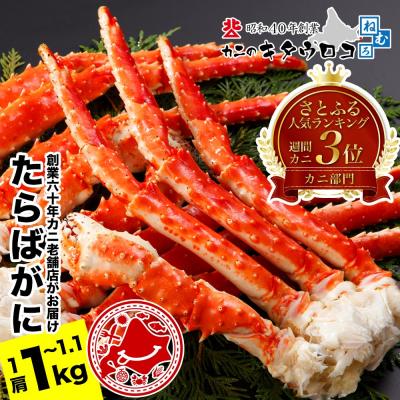 ふるさと納税 根室市 たらばがにの脚1kg〜1.1kg F-25011