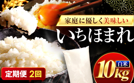 【2回定期便】お米 福井県産いちほまれ お米 10kg 小浜市 梅田東米穀店[BFEK032]