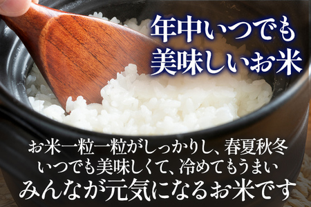 【3ヶ月 定期便】 元気つくし 合計15kg 5kg×3回 白米 お米 ご飯 米 精米 送料無料 お取り寄せグルメ お取り寄せ 福岡 お土産 九州 福岡土産 取り寄せ グルメ 福岡県