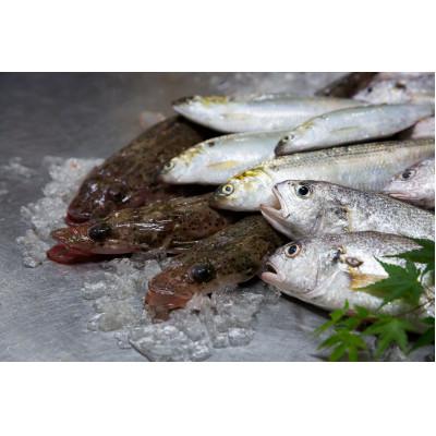 ふるさと納税 西条市 瀬戸内 地魚天ぷらセット(平天・丸天・ごぼ天) |  | 03