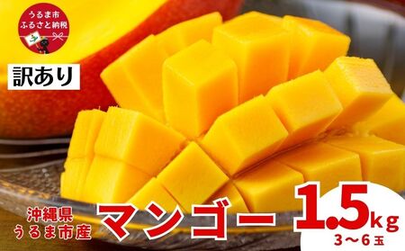 沖縄県 うるま市産 完熟 マンゴー 訳あり品 1.5kg