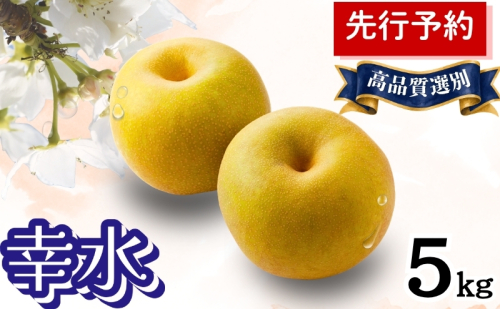 幸水 5kg 高品質選別 (12～14個入) 秋田県 能代市 梨 なし ナシ 果物 フルーツ 厳選 贈答用 甘い 果実 果汁