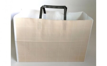 はちみつ 化粧箱入り 国産 天然 純はちみつ 1kg×2本セット もちのき＆やまみつ ギフト 《包装対応、手提げ袋付》 