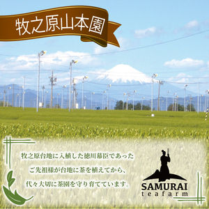 花香り 和紅茶 ティーバッグ 3g×10包 5袋  和紅茶
