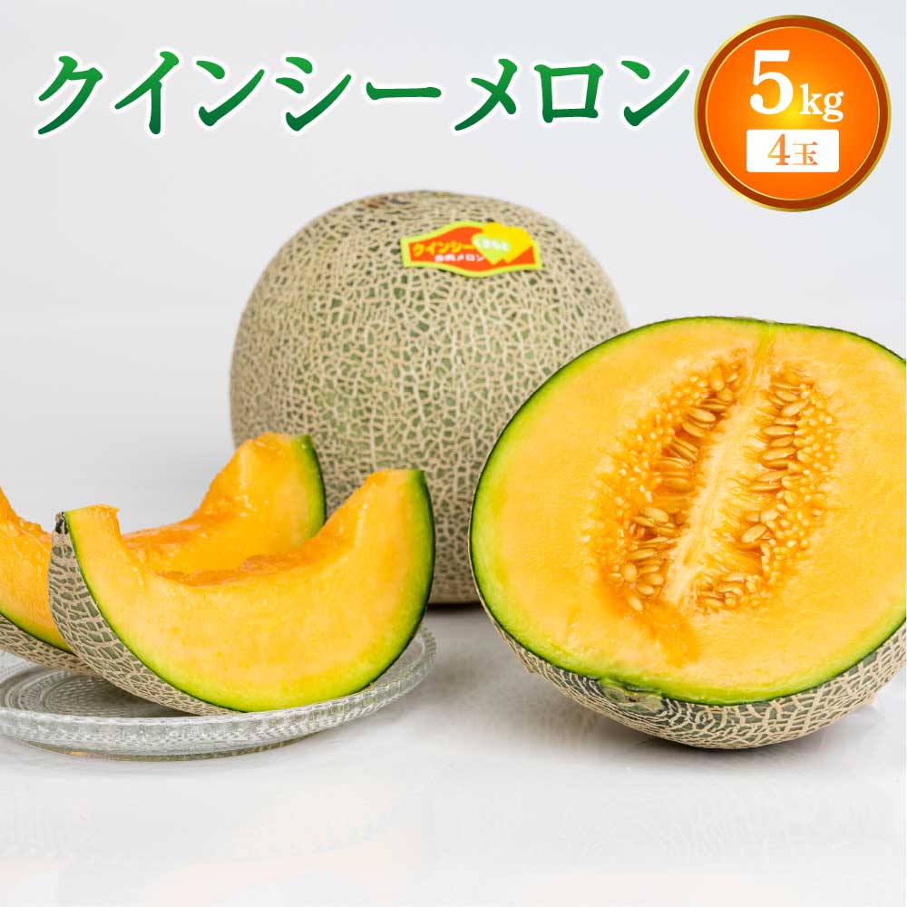 【ふるさと納税】【先行予約】 メロン クインシーメロン 4玉入り 合計 約5kg サンサンうきっ子宇城彩館 メロン めろん 果物 くだもの フルーツ 宇城市産 九州産 熊本県産 国産 送料無料【2026年4月中旬〜5月中旬頃発送予定】