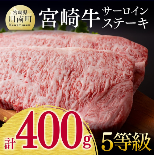 ５等級！ 宮崎牛 サーロインステーキ 400g 【 ミヤチク 牛 肉 牛肉 国産 九州産 宮崎県産 黒毛和牛 和牛 サーロイン ステーキ 】