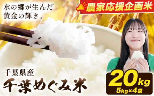農家応援企画 千葉県産 千葉めぐみ米 20kg《1-5日以内に出荷予定(土日祝除く)》千葉県我孫子市 送料無料 米 こめ お米 ごはん 国産 5キロ × 4袋 20キロ