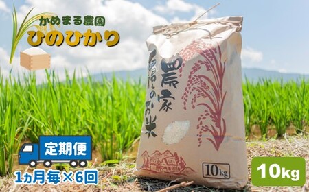 【定期便6回】かめまる農園の「ひのひかり」10kg×6回 | 米 こめ お米 おこめ 白米 精米 定期便 熊本県産 熊本県 玉名市