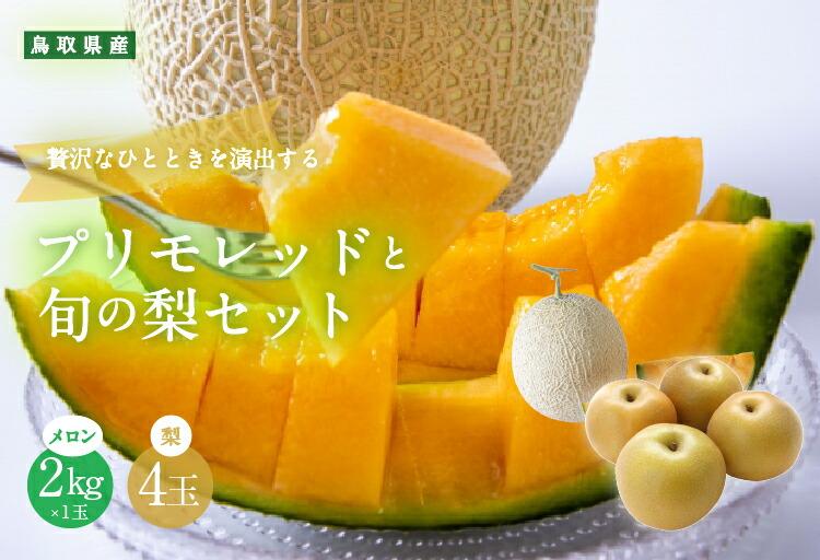 925.【ふるさと納税】【赤肉系メロン】プリモレッド (メロン) と旬の梨セット※離島への配送不可（北海道、沖縄本島は配送可能） 313726_BQ003