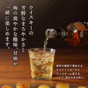 ウイスキー 富士山ウィスキー 梅酒 700ml 2本 モンドセレクション プレゼント