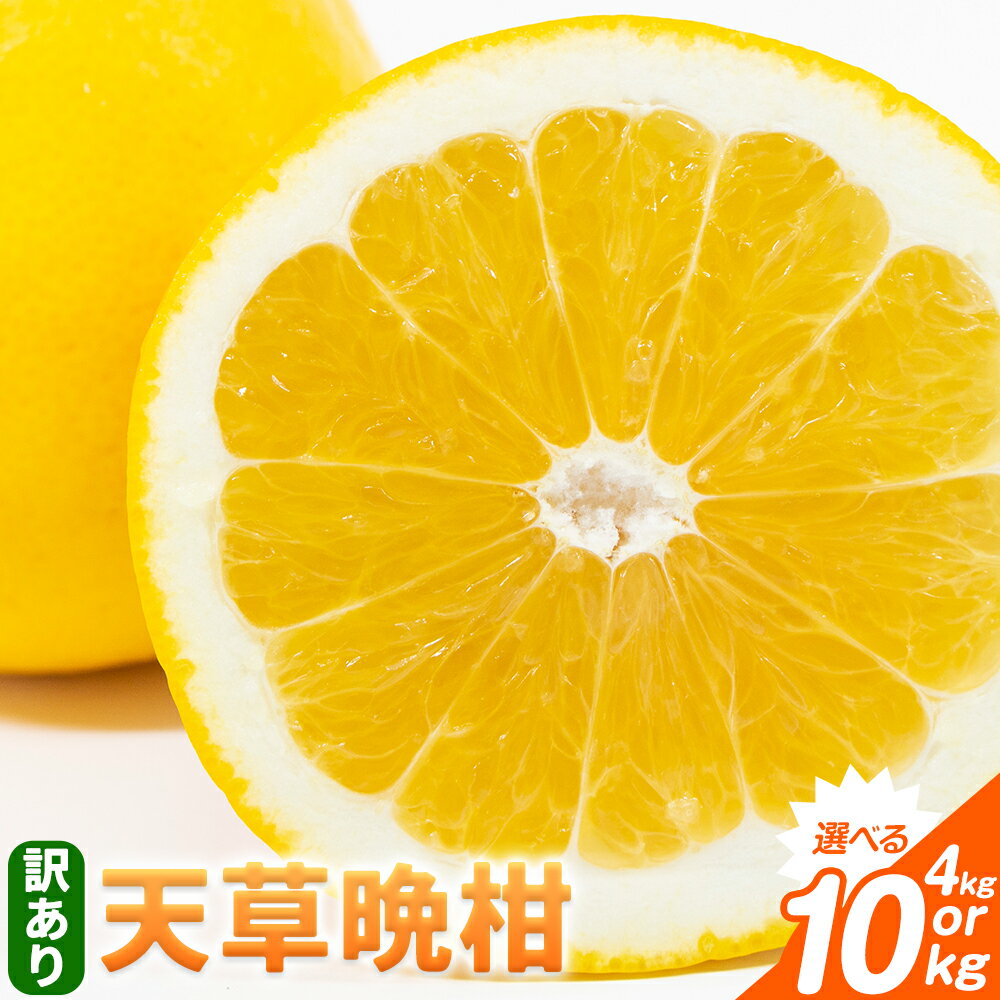 【ふるさと納税】訳あり ご家庭用 柑橘 天草晩柑 選べる 約4kg 約10kg あまくさ晩柑 晩柑 ばんかん 天草 西海岸 苓北 都呂々 南国 潮風 国産 九州 熊本 果物 フルーツ 4キロ 10キロ 送料無料 都呂々みかん生産者グループ《3月上旬-5月下旬頃出荷》