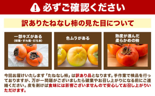 和歌山県産 訳あり たねなし柿（刀根早生柿・平核無柿）約7.5kg 《2026年9月中旬-11月上旬頃出荷(土日祝除く)》 和歌山県 岩出市 訳あり ご家庭用 種なし柿 柿 果物 フルーツ カキ 