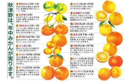 季節毎の柑橘ジュース500ml×6本セット / 和歌山 和歌山県産 田辺市 温州みかん 不知火 デコポン バレンシアオレンジ みかんジュース 100％ジュース オレンジジュース【ktr003-4】