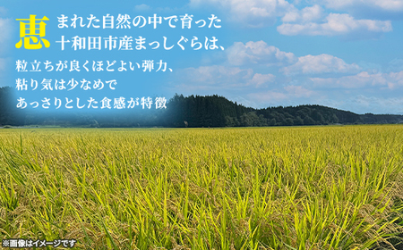 【令和7年産】青森県産まっしぐら30kg(玄米)【配送不可地域：離島・沖縄県】【1664256】