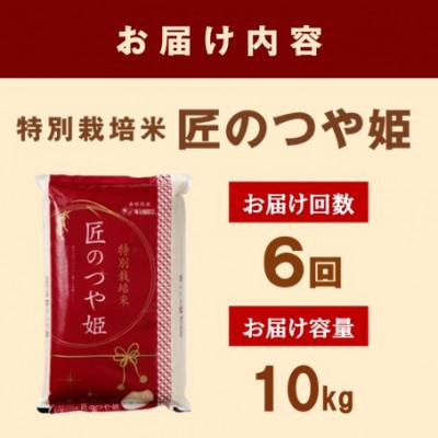 ふるさと納税 浜田市 【毎月定期便】特別栽培米「匠のつや姫」　10kg(5kg×2袋)全6回 |  | 03