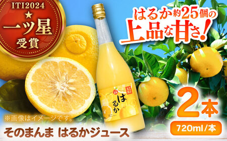 そのまんま はるかジュース 720ml×2本 みかんジュース / 佐賀県 / 山本農園 [41ATBT015]