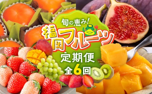 
                  【定期便 6回】旬の恵み！福岡フルーツ定期便 _ 定期便 6回 フルーツ 完熟 マンゴー シャインマスカット 黒イチジク ビオレソリエス キウイ 甘うぃ 柿 福岡県GAP 秋王 あまおう いちご グルメ 旬 お取り寄せ 福岡県 久留米市 送料無料 _Tk127
                