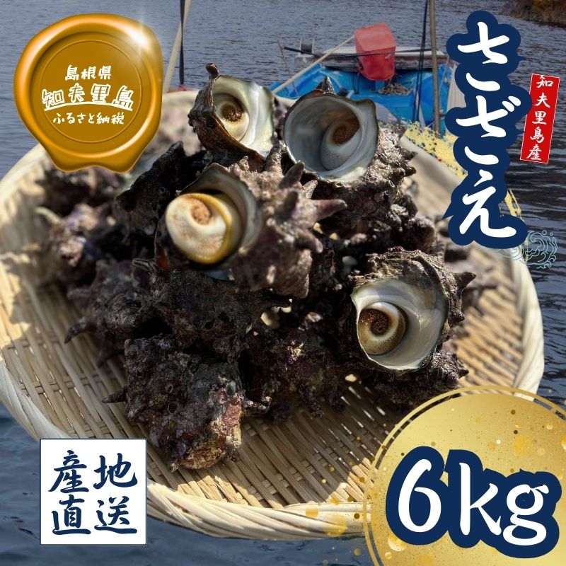 【ふるさと納税】知夫里島産　天然活さざえ　6kg