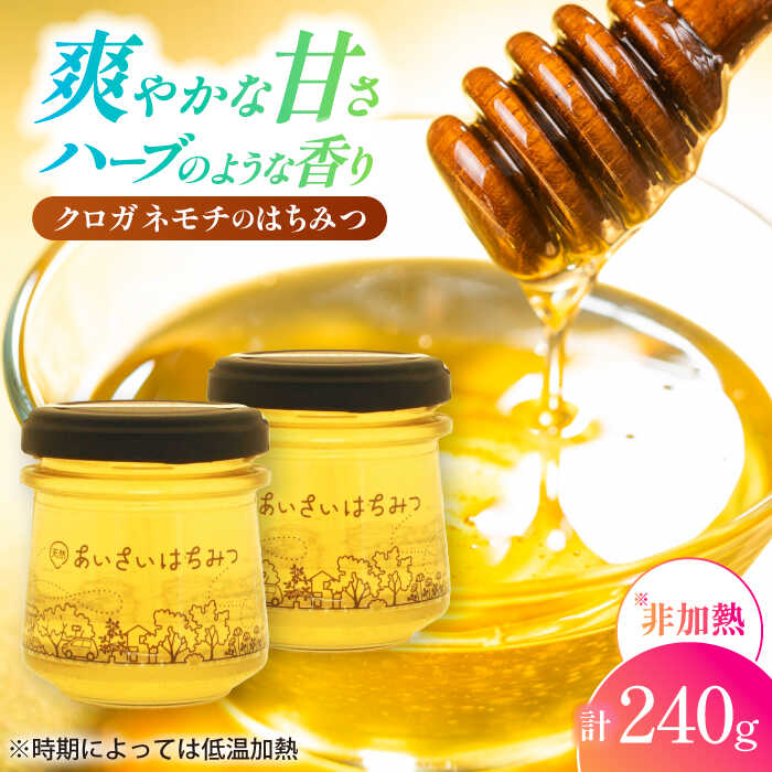 【ふるさと納税】あいさいはちみつ クロガネモチ 120g×2本 蜂蜜 国産 非加熱 愛西市/あいさいはちみつ[AEBP002]