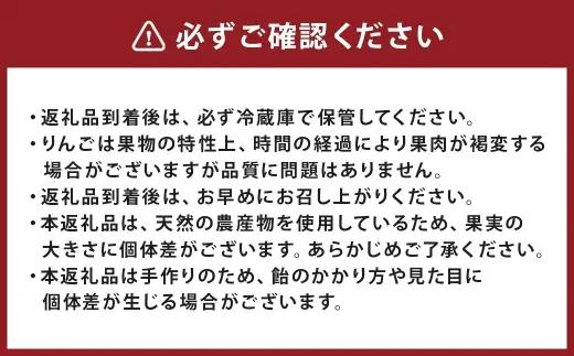 ＜ R8年熊本地震復興支援 ＞リンゴアメ プレーン 6個セット りんご飴 リンゴ飴 あめ アメ 飴 りんご リンゴ 林檎 お菓子 菓子 おかし スイーツ 和菓子 果物 くだもの フルーツ
