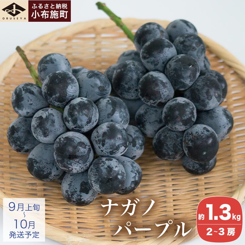 【ふるさと納税】 ナガノパープル 約1.3kg 2～3房 ［小布施屋］果物 フルーツ ぶどう 葡萄 長野県産 信州産 小布施 デザート 冷蔵便 クール便 先行予約 数量限定 令和7年産【2025年9月上旬～10月発送】