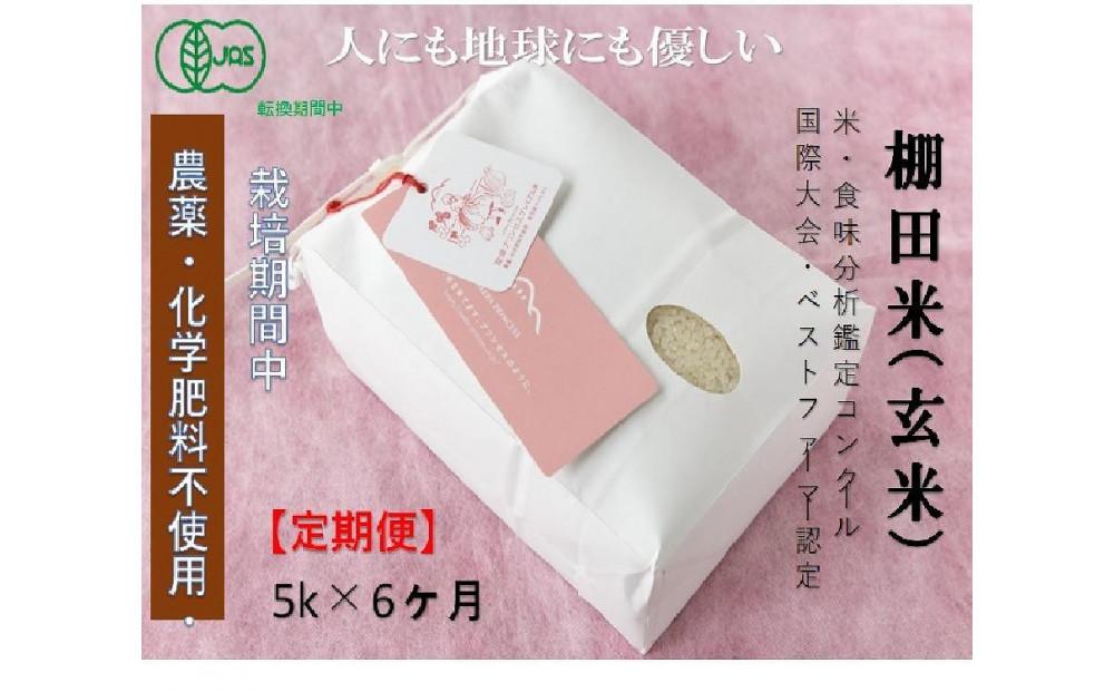 【令和8年産先行予約】【6ヶ月定期便】【有機JAS認証米】魚沼コシヒカリ 苗場プリンセス・プレミアム 玄米 5kg（5kg×1袋）計30kg127523-059