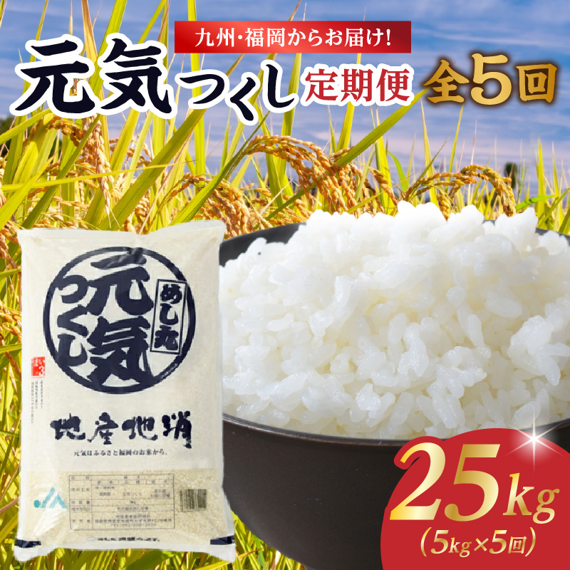 九州・福岡からお届け！ブランド米「元気つくし」定期便【全5回】＜配送不可：北海道・沖縄・離島＞