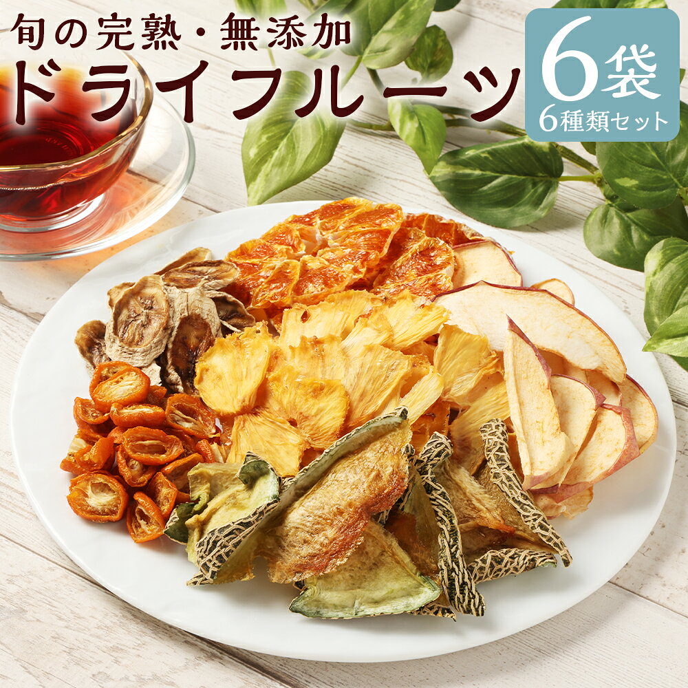 【ふるさと納税】青果店が作った旬の完熟・無添加ドライフルーツ6種 計約120g（約20g×6個） 蜜柑 みかん ミカン いちご イチゴ 苺 不知火 ナシ 梨 ぶどう 葡萄 キンカン りんご バナナ 柑橘類 くだもの 果物 果実 フルーツ 熊本県 人吉市 送料無料