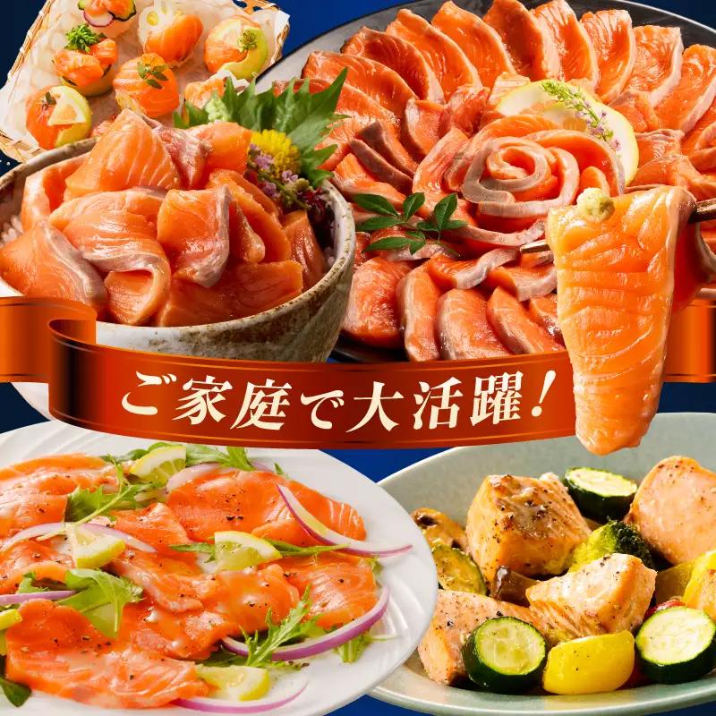 サーモン 訳あり 銀鮭 サーモン [刺身 500g]