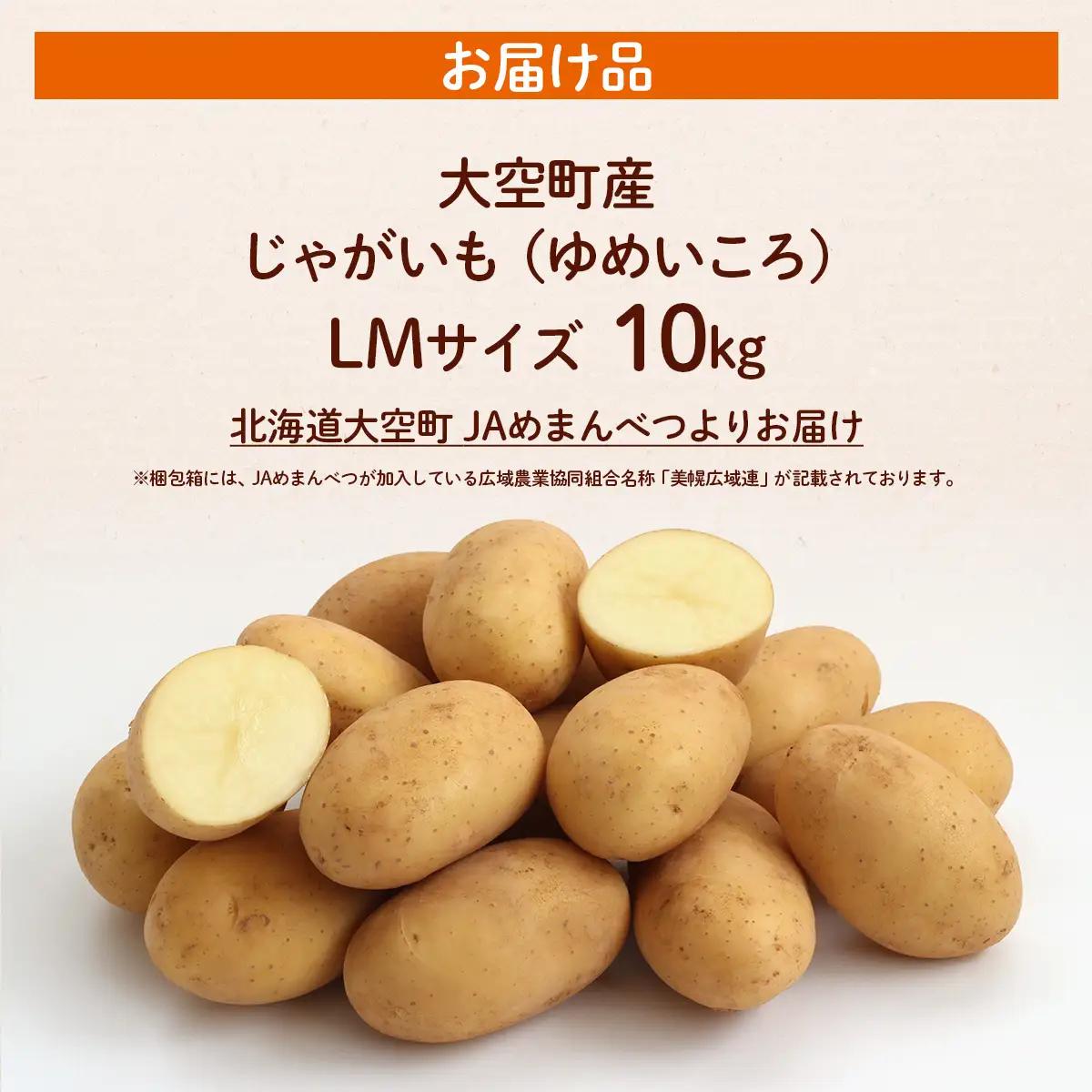 【先行予約】じゃがいも（ゆめいころ） LMサイズ 10kg 大空町産（2026年10月以降順次発送） OSR012 | じゃがいも ゆめいころ