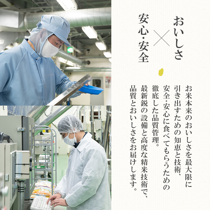 ＜令和5年産＞宮城県産ひとめぼれ  5kg×2 ta203【パールライス宮城】