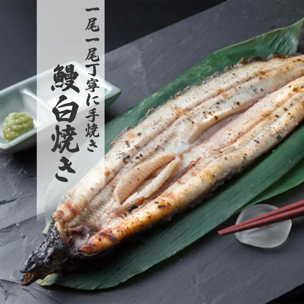 鹿児島県大隅産　千歳鰻 の 白焼 鰻　5尾・ 鰻焼肝 セット｜うなぎ うなぎ