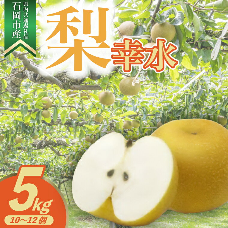 【ふるさと納税】【2025年8月より順次発送予定】幸水5kg 10〜12個(県内共通返礼品:石岡市産)【配送不可地域：離島・沖縄県】 (BR039)