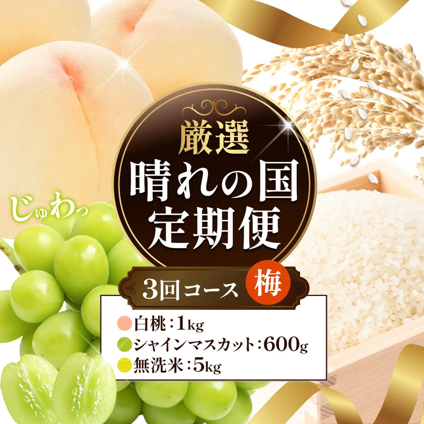 【全3回】晴れの国定期便 無洗米5kg 桃1kg マスカット600g 定期便