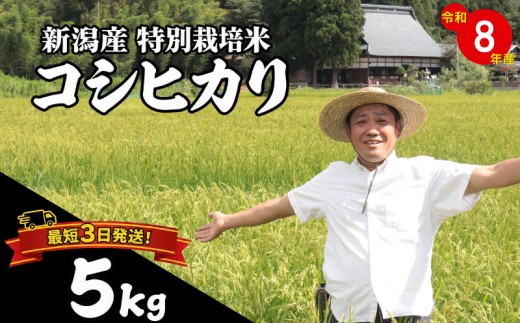 【最短1週間発送!！】 新潟県産 特別栽培米 コシヒカリ 5kg 令和8年産 こしひかり 特栽米 米 月岡 温泉 お米 こめ ご飯 ごはん おいしい 新潟米 新潟 新潟県 米 新発田産 新潟産 朝食 昼食 夕飯 炊きたて 精米 watasho004_2026