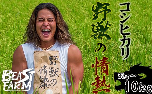 
            令和7年産 新米 コシヒカリ 野獣の情熱 8月下旬より発送予定  3kg・5kg・10kgから選べる  高知県産 白米 精米 ごはん お米 産地直送 井上農園 ビースト農園 新米コシヒカリ おすすめ 人気 ランキング 贈り物 高知県 須崎市 
          