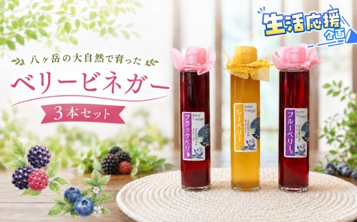 八ヶ岳の大自然で育った ベリービネガー 3本セット ( ブラックベリー , シーベリー , ブルーベリー )| りんご酢 ビネガー ベリー 安心 体に優しい さわやか 信州 八ヶ岳 長野県 諏訪郡 原村