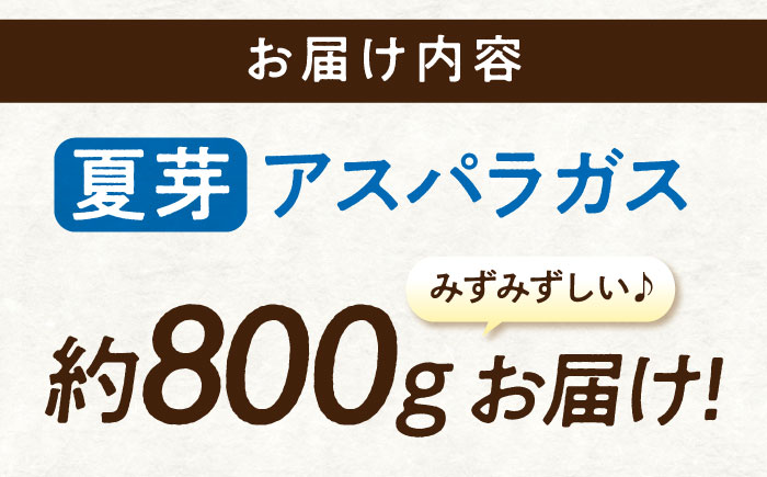 三次の恵みをおふくわけ 朝採れ 夏芽アスパラガス（約1kg）とれたて アスパラ 旬 野菜 三次市/福分アスパラ [APAU002]
