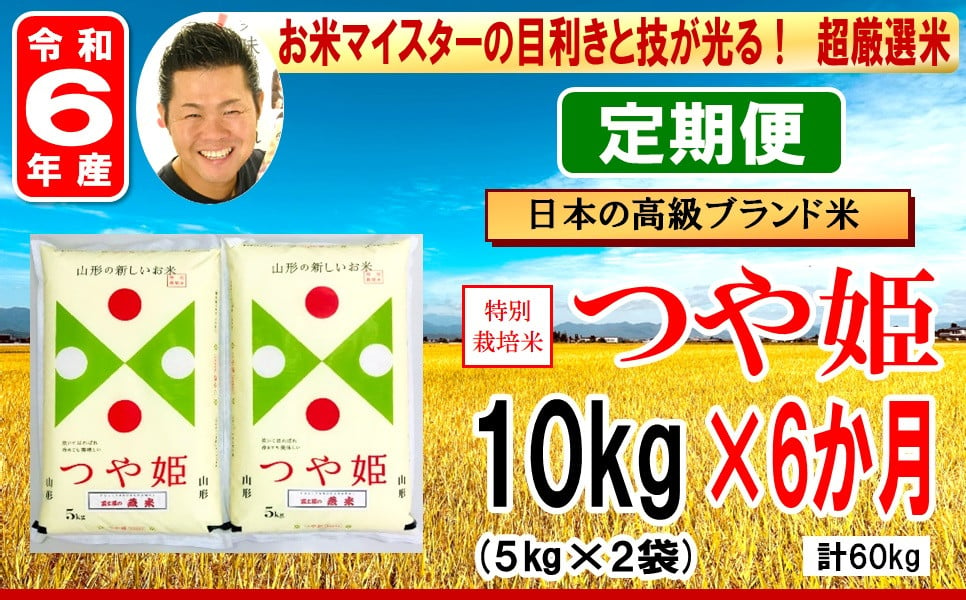 
            《 新米 》【 6ヶ月定期便 / 令和6年産 新米 】 特別栽培米 つや姫 計 10kg /月 ( 1回配送 5kg × 2袋 ) お米マイスター厳選米 ブランド米 2024年産
          