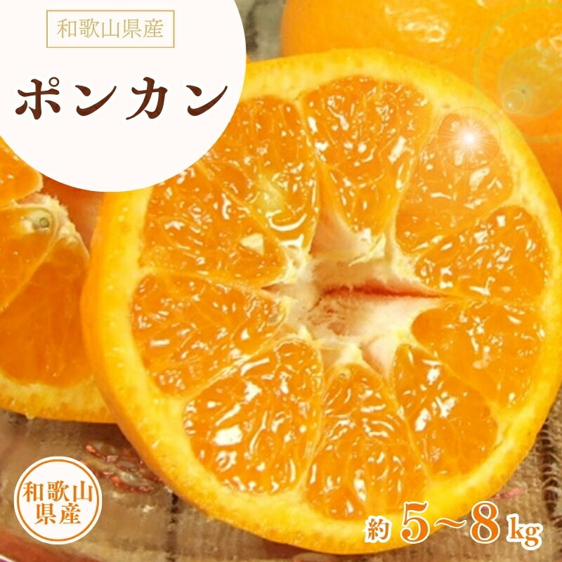 【ふるさと納税】 ポンカン 約5kg 約8kg /サイズおまかせ ※2026年1月下旬〜2026年2月下旬頃に順次発送予定(お届け日指定不可) 紀伊国屋文左衛門本舗