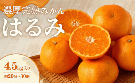 濃厚・完熟 みかん「はるみ」A品（ちょいきず） 果物類 柑橘類 フルーツ ミカン 柑橘 