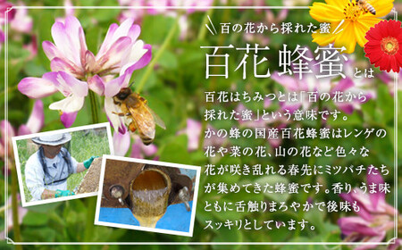 【全12回】定期便 かの蜂 国産 百花蜂蜜 12kg（とんがり容器1kgを毎月1本お届け）　024-T001