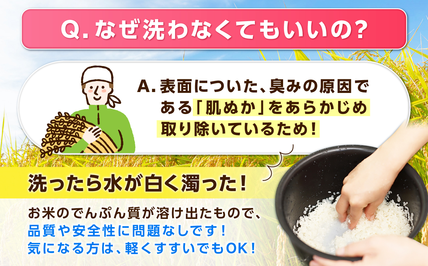 五つ星お米マイスター厳選！さがびより 無洗米 10kg（5kg×2袋） 吉野ヶ里町/大塚米穀店 [FCW048]