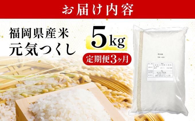 【3ヶ月定期便】福岡県産米 元気つくし 5kg 精米 令和7年産 ※北海道・沖縄・離島は配送不可【精米 7年産 国産 福岡県産 お米 ブランド米 5kg げんきつくし】CY011sub3