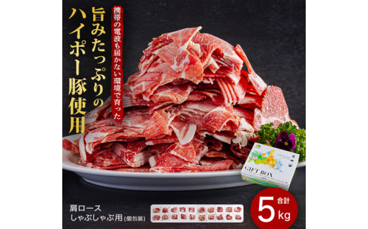 [№5681-0147]豚肉 肩ロース しゃぶしゃぶ 250g×20パック 小分けセット | 携帯の電波も届かない環境で育った旨みたっぷりのハイポー豚 豚 肉 お肉 ※配送不可:離島