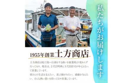 【2025年発送分】岡山県産シャインマスカット「晴王」定期便　秀品　大房（約5kg・5～9房目安）×10回発送（令和７年7月以降発送）